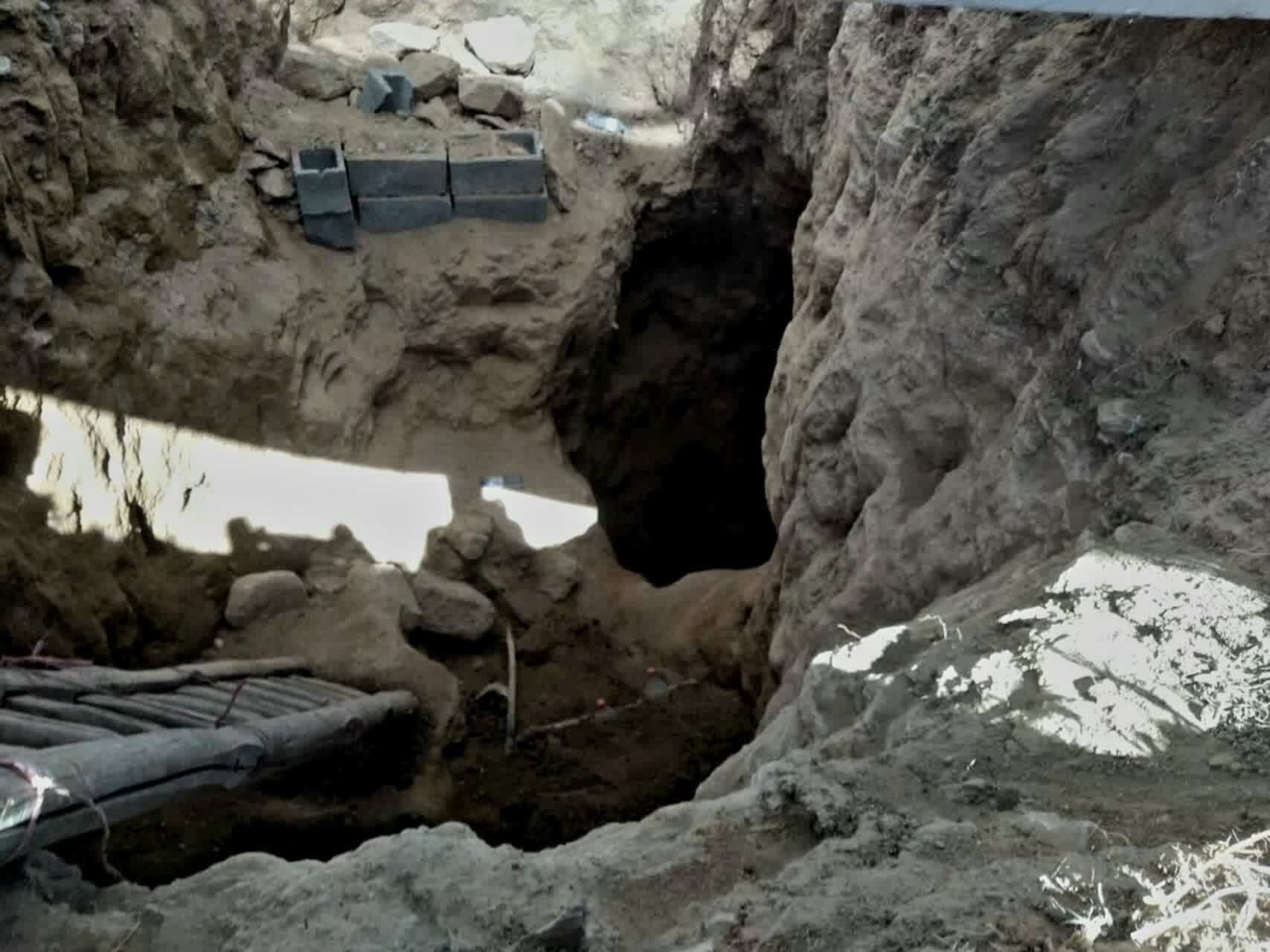 حفاری ناتمام ۳ فرد غیربومی در یک باغ حفاری ناتمام ۳ فرد غیربومی در یک باغ