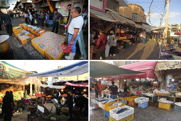 صنوف دروازه کازرون شیراز راهی بازار پروتئین شدند صنوف دروازه کازرون شیراز راهی بازار پروتئین شدند