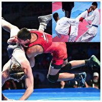 ایلام صاحب خانه کاراته و کشتی میشود