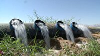 تجهیز ۴۲ هزار هکتار از اراضی کشاورزی خراسان جنوبی به سیستم‌های نوین آبیاری