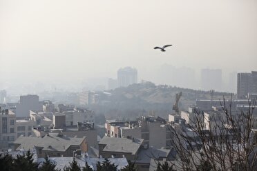 هوای تهران ناسالم برای گروه‌های حساس