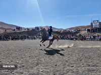 سومین جشنواره نمایش اسب در خلخال با هنرنماییِ ۵۰ اسب از استانهای مختلف کشور