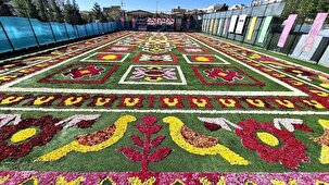 استفاده از ۶۰۰ هزار سرگل در «فرش سرگل محلات»