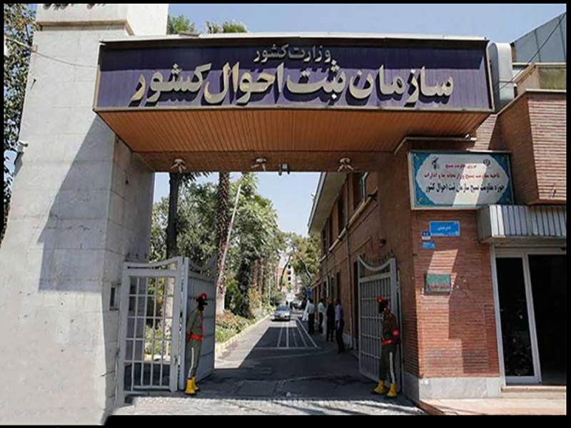 سازمان ثبت احوال کشور تعداد موالید چندقلو را اعلام کرد