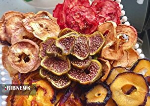 رونق کار در مراکز فرآوری محصولات کشاورزی