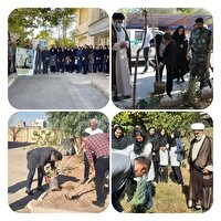 غرس نهال به یاد شهدای کادر درمان و گرامیداشت روز پرستار