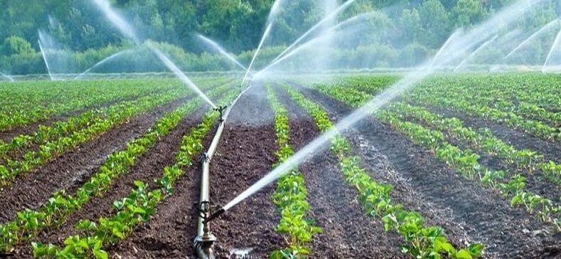 ۸ هزار نفر از کشاورزان آذربایجانغربی آموزش دیدند ۸ هزار نفر از کشاورزان آذربایجانغربی آموزش دیدند