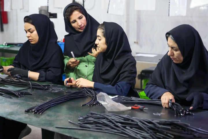 طرح ملی کارورزی و مشوقهای بیمهای در آذربایجانغربی آغاز شد طرح ملی کارورزی و مشوقهای بیمهای در آذربایجانغربی آغاز شد