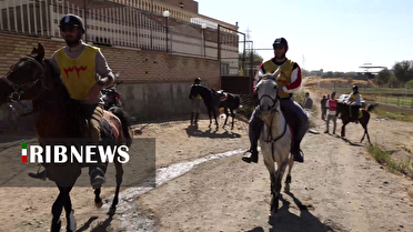 برگزاری رقابتهای سوارکاری استقامت