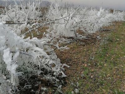 هشدار زرد هواشناسی خوزستان مبنی بر کاهش دما و یخ زدگی زمین هشدار زرد هواشناسی خوزستان مبنی بر کاهش دما و یخ زدگی زمین
