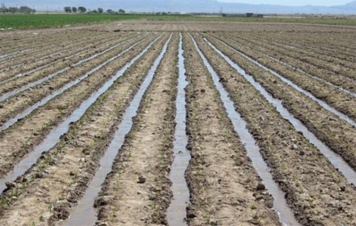 گسترش کشت قراردادی بر اساس برنامه هفتم گسترش کشت قراردادی بر اساس برنامه هفتم