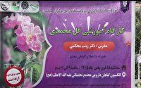برگزاری جشنواره مهرواره گل محمدی در زابل