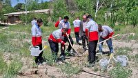 نهالستان بزرگ کرج میزبان طرح ملی درختکاری