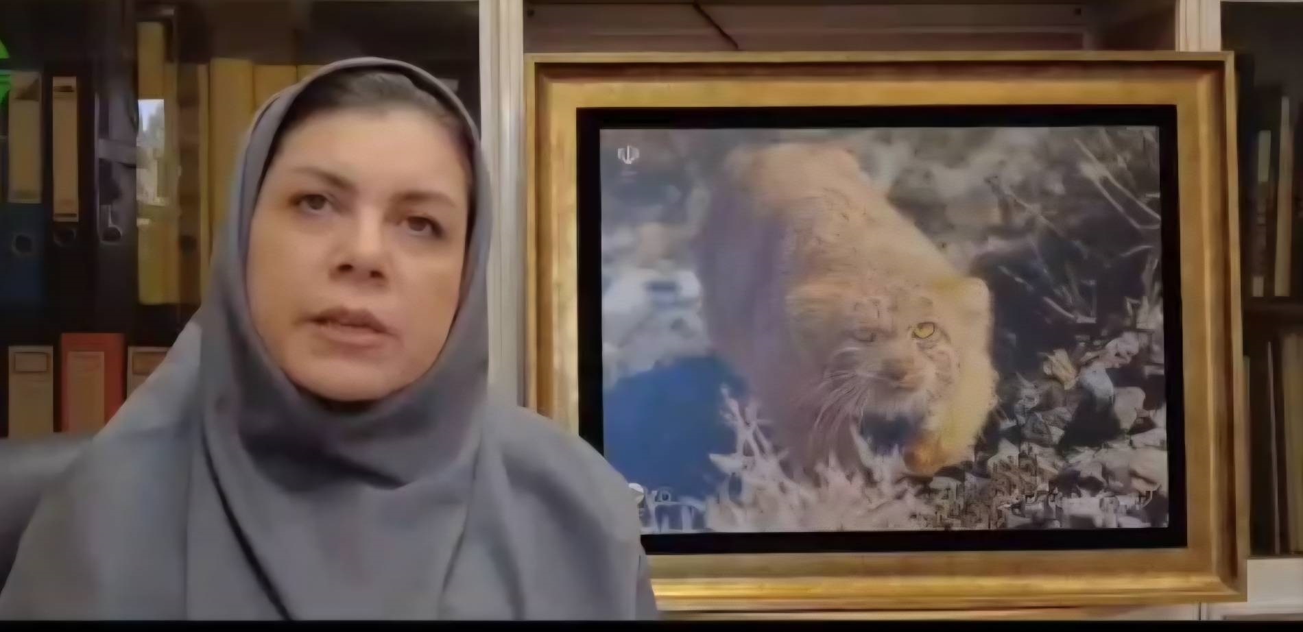 اقدامات محیط زیست برای حفاظت از حیات‌وحش در پی افزایش تنش‌ها