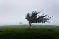 سرعت باد در نیر به ۹۴ کیلومتر بر ساعت رسید