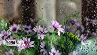 تداوم فعالیت سامانه بارشی در آذربایجان شرقی