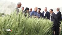 افزایش ۹ میلیون تنی محصولات زراعی در کشور