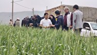 کارگاه آموزشی روز مزرعه در روستای دهگاه بجنورد