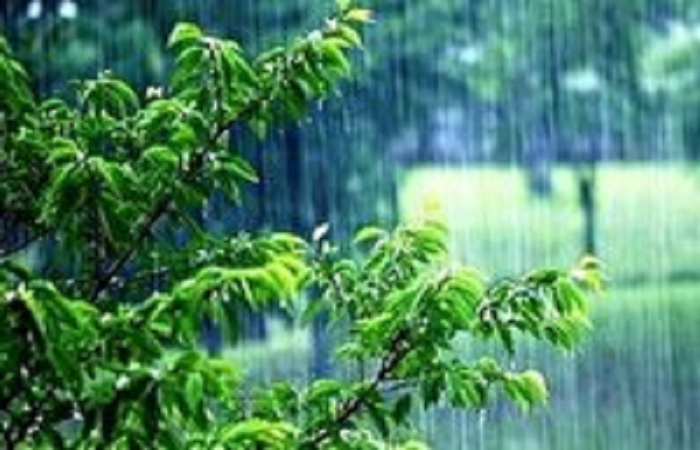 هشدار سطح زرد برای ورود سامانه بارشی در استان قزوین