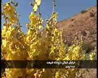 خراسان شمالی، داروخانه گیاهان دارویی در کشور