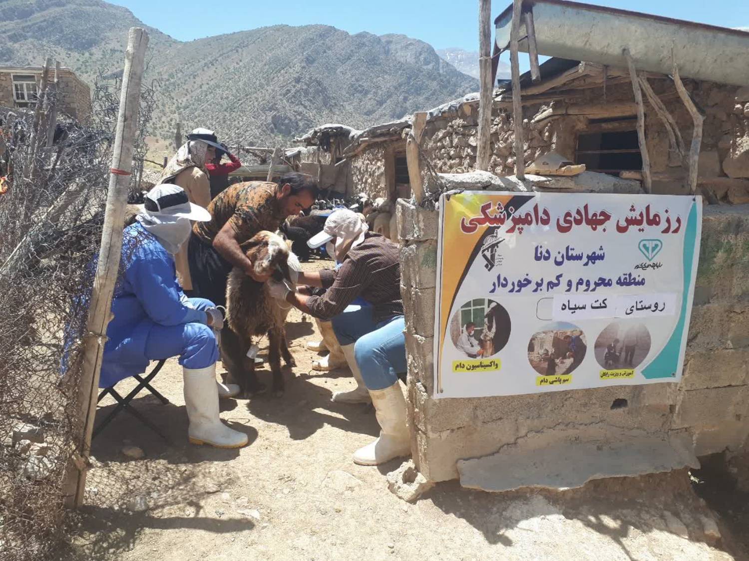 اردوی جهادی دامپزشکی در منطقه کت سیاه پاتاوه