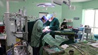 اهدای عضو بیمار مرگ مغزی در بیمارستان ابوعلی سینا شیراز