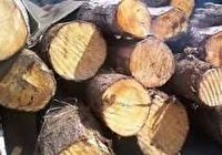 کشف بیش از چهار تُن چوب جنگلی قاچاق در شاهین‌شهر