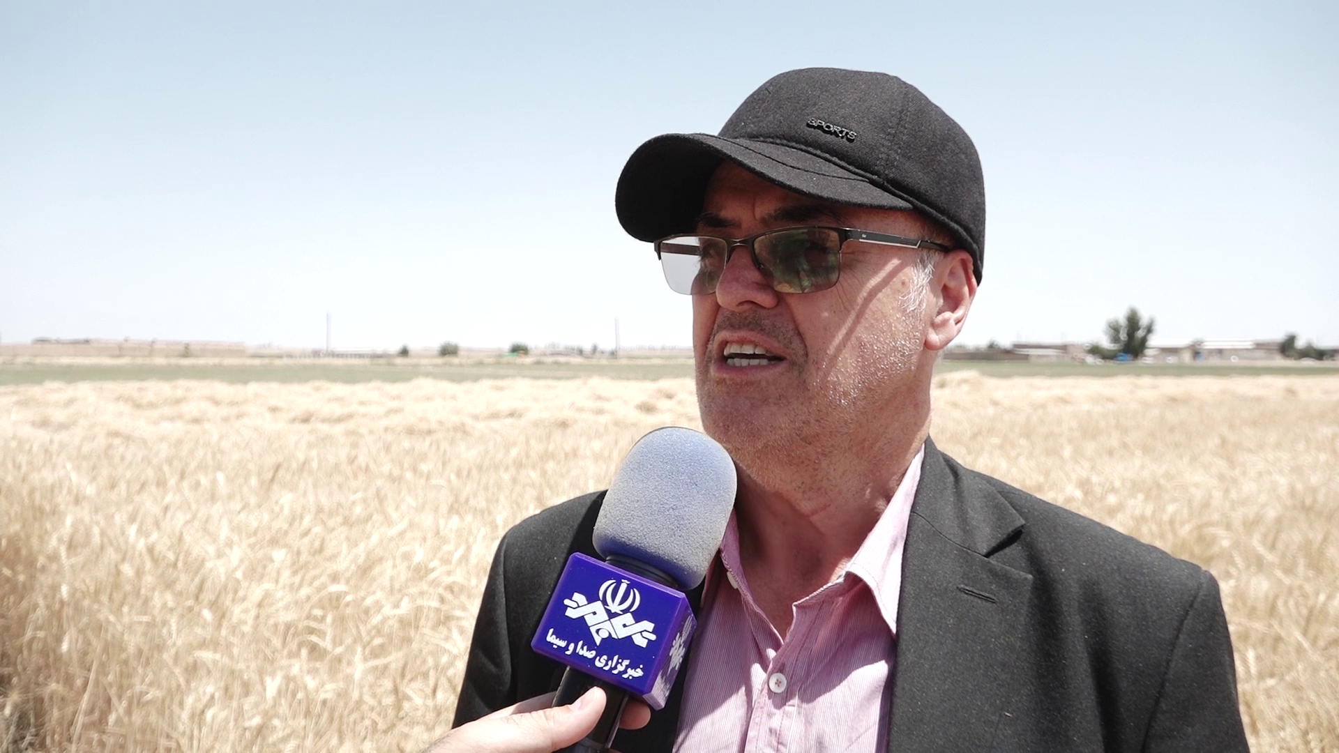 اجرای طرح توسعه و تجهیز گلخانههای قم با ۱۳۰ میلیارد تومان سرمایهگذاری اجرای طرح توسعه و تجهیز گلخانههای قم با ۱۳۰ میلیارد تومان سرمایهگذاری