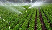 ۱۹ ساعت برق رایگان به کشاورزان با رعایت الگوی مصرف برق در چهارمحال و بختیاری