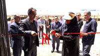 افتتاح مرکز تحقیقات خوراک دام در سمنان