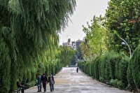 وزش باد میهمان هوای پایتخت