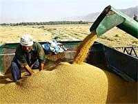 افزایش ۶۹ درصدی درآمد‌های زکات در خراسان جنوبی