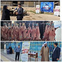 توزیع ۲۰۲ رأس دام سبک و سنگین در بین نیازمندان خراسان شمالی