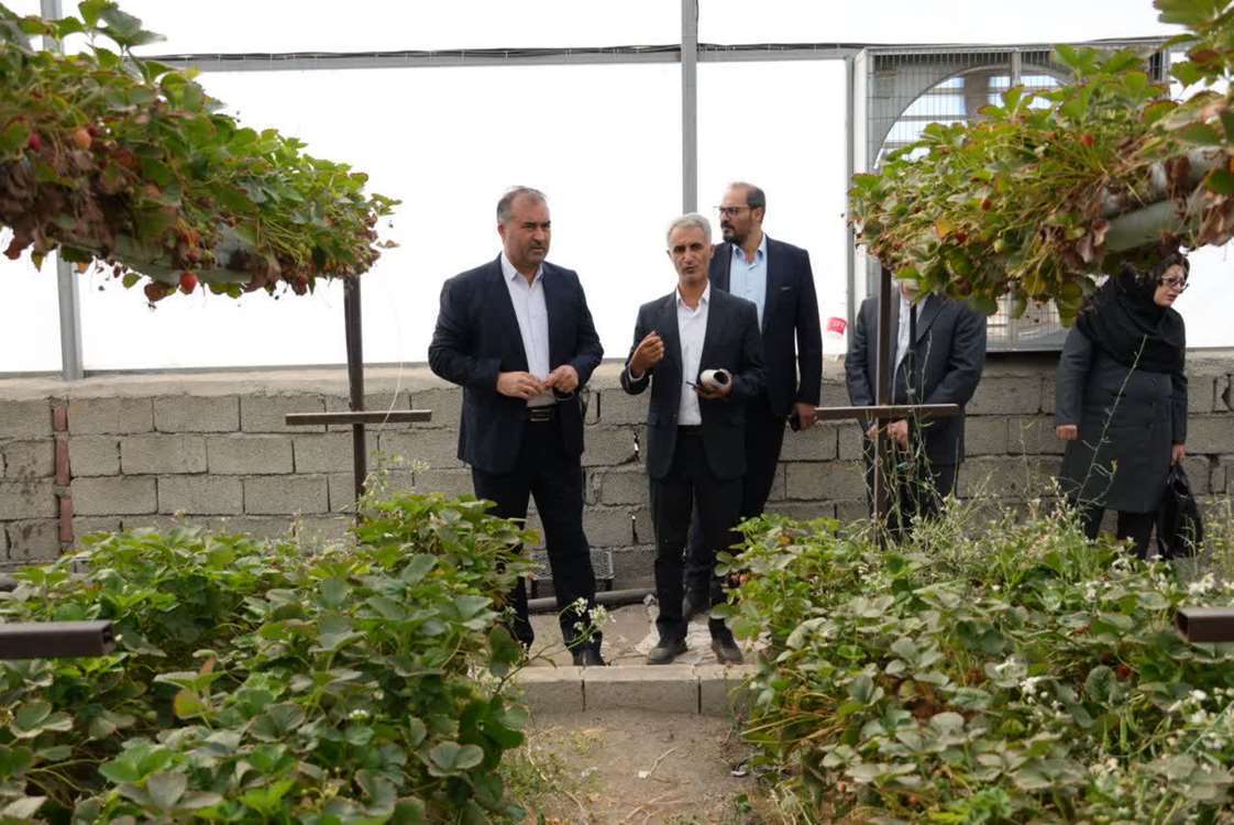 بررسی ظرفیتهای سرمایهگذاری در شهرک گلخانهای درشک سلماس بررسی ظرفیتهای سرمایهگذاری در شهرک گلخانهای درشک سلماس
